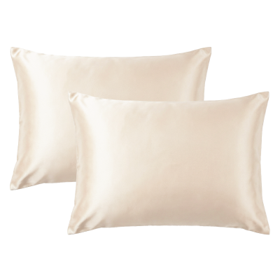 buy 2 silk pillowcase bundle with a discount