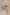 25 Momme Mulberry Silk Robe - Golden Champagne
